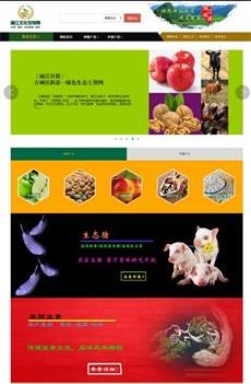 瀚數(shù)案例-麗江文化縣農特網(政府性質)